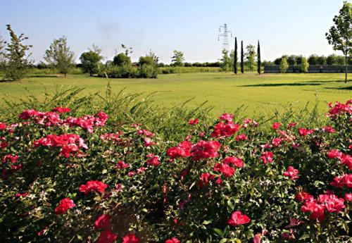 Country House Letizia Verona Exteriér fotografie
