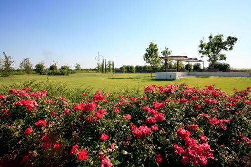 Country House Letizia Verona Exteriér fotografie